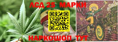 apvp Балашиха