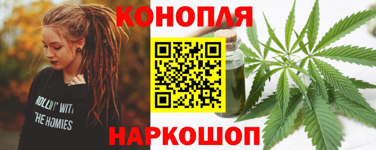 Каннабис сатива Гурьевск